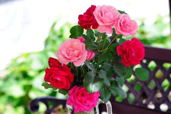 Traditional Cottage on the hillside of Antiperni