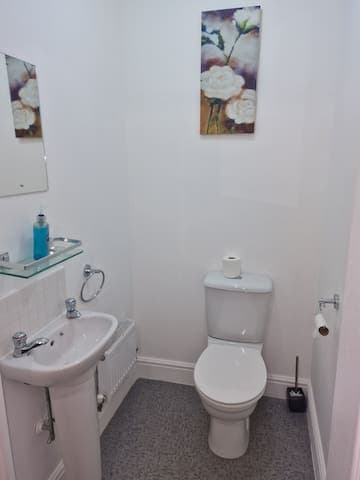 Downstairs Toilet