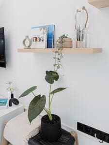 Love this vibe? There’s more waiting at @CapraEurope.