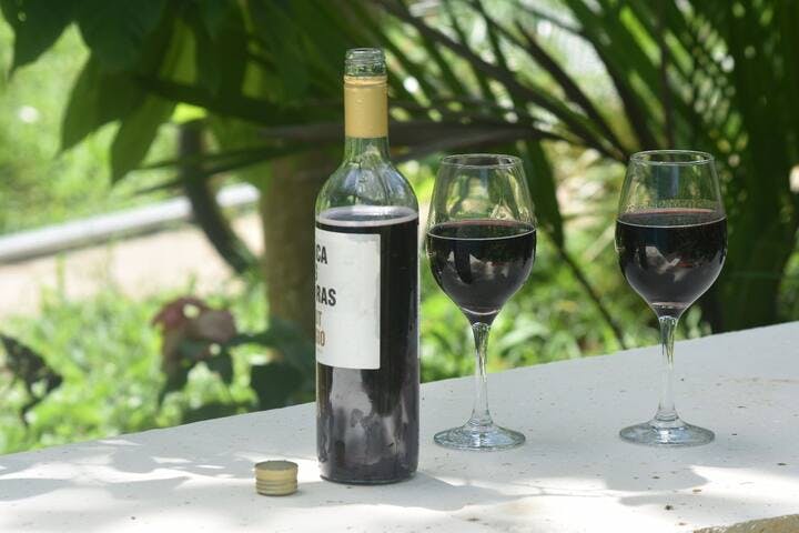 Have a nice glass of wine hidden our tropical garden