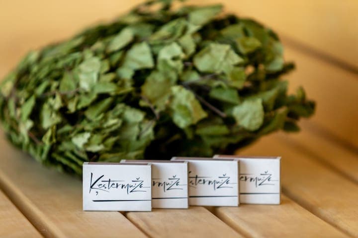 Kestermuiza sauna winter