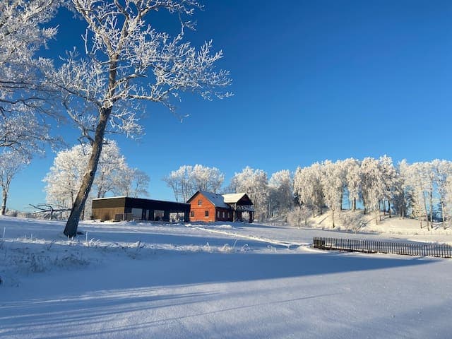 Kestermuiza ziema guesthouse naktsmitne aluksne ziemasaktivitates