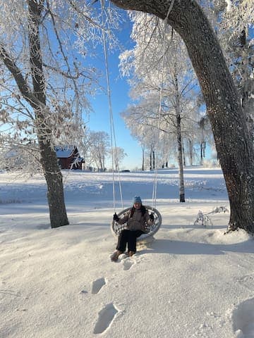 Kestermuiza_winter_swings (2)