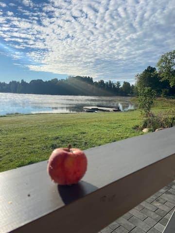 Kestermuiza_lake_autumn