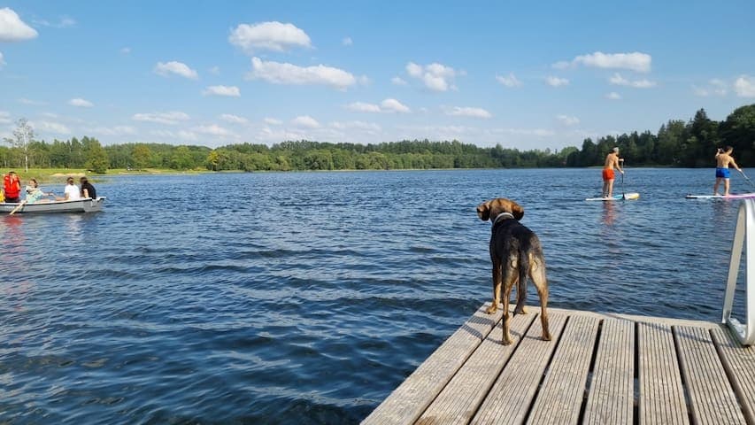 Kestermuiza_lake_activities