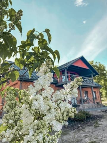 68458A71 4735 4DF4 97C3 B31758CAD268